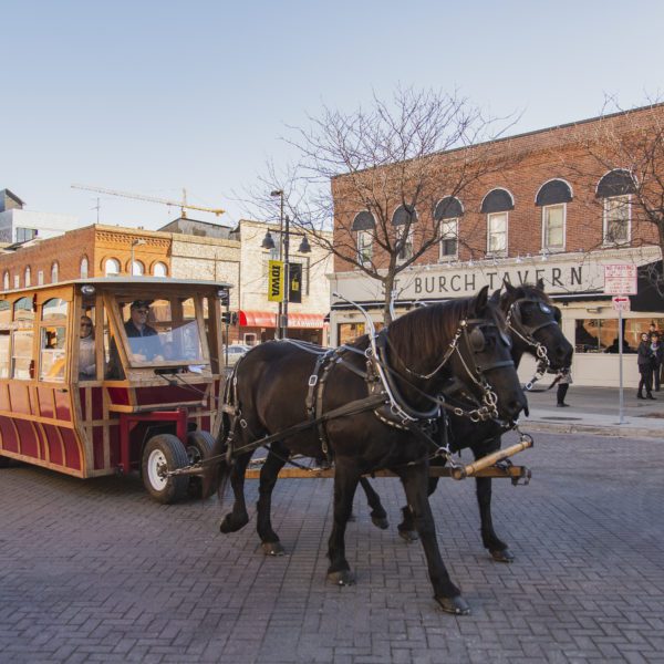 Downtown Iowa City's annual holiday market returns with local and festive  goods