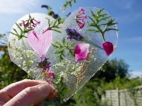 plants incased in wax paper
