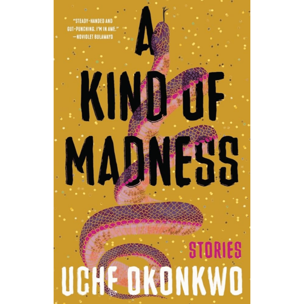 Uche Okonkwo In Conversation With Reyumeh Ejue 